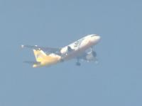 post-104736-0-46798500-1359975009_thumb.