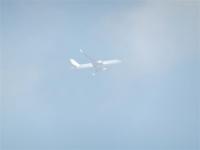 post-104736-0-48283600-1360356861_thumb.