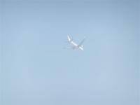 post-104736-0-49989200-1360356860_thumb.