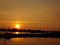 post-104736-0-57837000-1360790232_thumb.