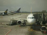 post-104736-0-60086500-1360875089_thumb.