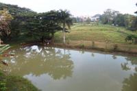 post-104736-0-64990700-1361067668_thumb.