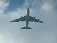 post-104736-0-79147600-1361657319_thumb.