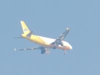 post-104736-0-80366700-1359762327_thumb.