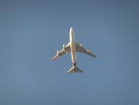 post-104736-0-80974100-1361836903_thumb.