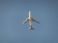 post-104736-0-96156700-1361694962_thumb.