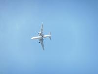 post-104736-0-96368700-1361053661_thumb.