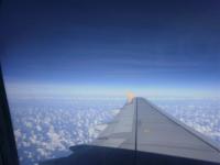 post-104736-0-98659100-1360842381_thumb.