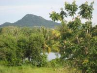 post-10942-0-33520600-1361859829_thumb.j