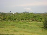 post-10942-0-47743200-1361859782_thumb.j