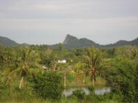 post-10942-0-99842000-1361859812_thumb.j