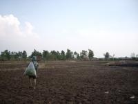 post-126208-0-06444500-1360490593_thumb.