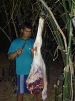 post-126208-0-06501500-1361030017_thumb.