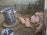 post-126208-0-26769100-1361596997_thumb.