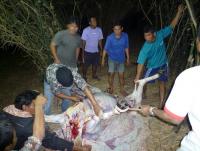 post-126208-0-28158100-1361030015_thumb.