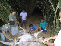 post-126208-0-28816200-1361030013_thumb.