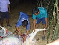 post-126208-0-29210500-1361030014_thumb.