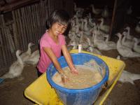 post-126208-0-35909000-1360608798_thumb.