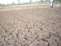 post-126208-0-40773400-1360490651_thumb.