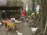 post-126208-0-48986200-1360608797_thumb.