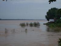 post-126208-0-52835000-1361597587_thumb.