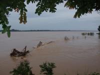 post-126208-0-57269200-1361597586_thumb.