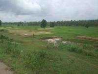 post-126208-0-59529900-1360389686_thumb.