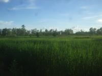 post-126208-0-64254900-1360389619_thumb.