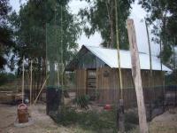 post-126208-0-65225700-1360389626_thumb.