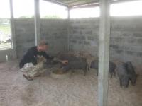 post-126208-0-65430300-1361543959_thumb.