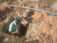 post-126208-0-67074400-1360389688_thumb.