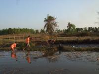 post-126208-0-81654400-1360957899_thumb.