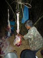 post-126208-0-81982300-1361030017_thumb.