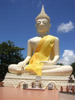 post-126208-0-82022500-1361596206_thumb.