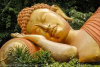 post-146075-0-01037700-1359863102_thumb.