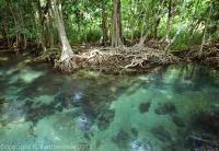 post-146075-0-21317600-1359864171_thumb.