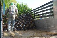 post-151257-0-03025800-1360476641_thumb.