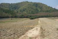 post-151257-0-30188600-1360476198_thumb.