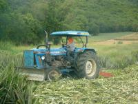 post-151257-0-64412500-1360476248_thumb.