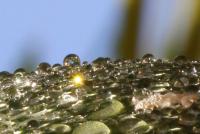 post-16612-0-01198400-1360903861_thumb.j