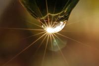 post-16612-0-16481900-1360838509_thumb.j