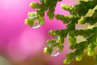 post-16612-0-31120500-1360903894_thumb.j