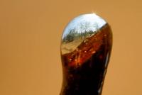 post-16612-0-41186400-1360838540_thumb.j