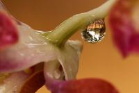 post-16612-0-54967400-1360838486_thumb.j