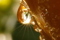 post-16612-0-73043600-1360903919_thumb.j