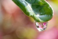 post-16612-0-90079600-1360903880_thumb.j