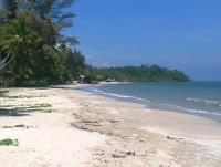 post-18849-0-37086500-1360322914_thumb.j