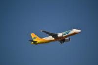 post-31600-0-73807500-1359796709_thumb.j