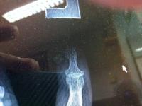 post-33663-13612009693919_thumb.jpg