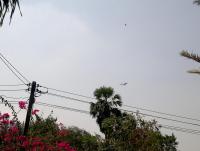 post-37242-0-30459100-1360219137_thumb.j